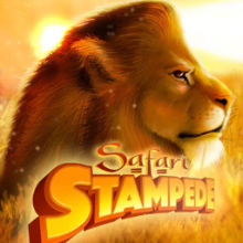 Safari Stampede